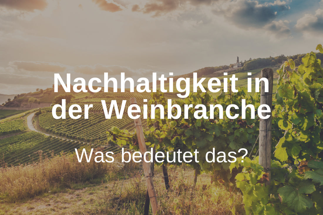 Nachhaltigkeit in der Weinindustrie: Was bedeutet das?