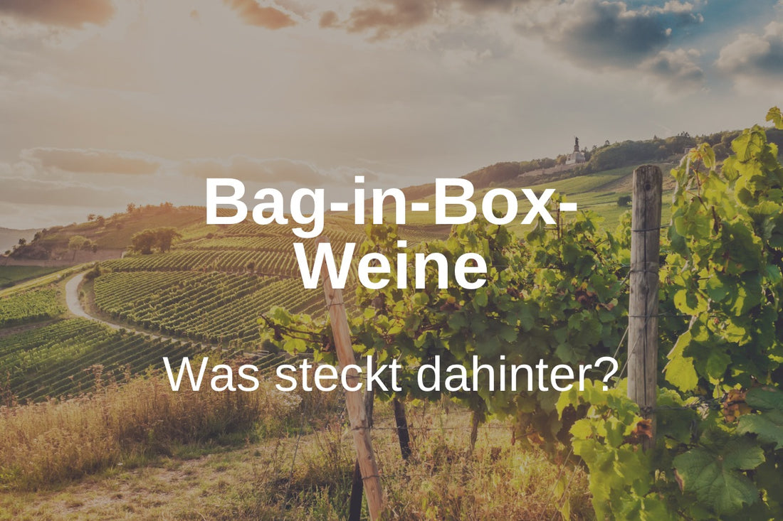 Bag-in-Box-Weine: Was steckt dahinter?
