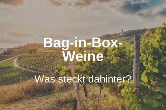 Bag-in-Box-Weine: Was steckt dahinter?