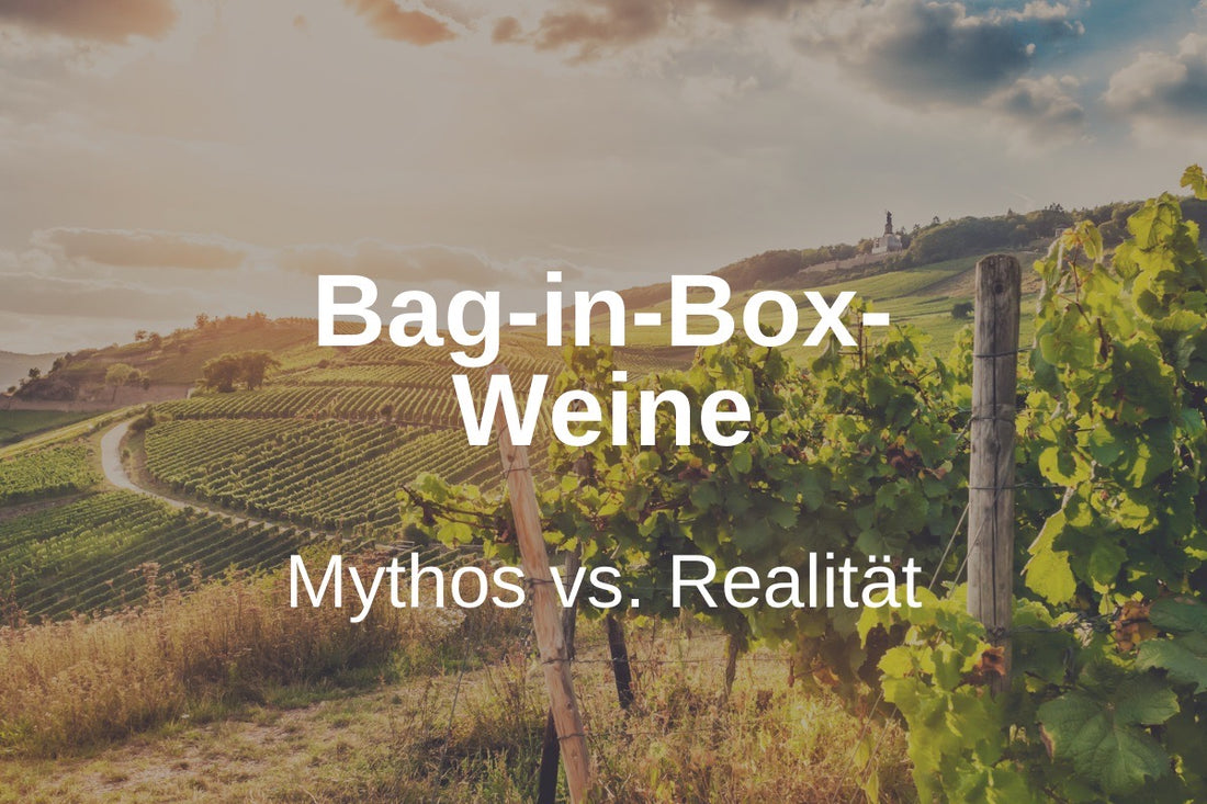 Bag-in-Box-Weine und die Weinqualität: Mythos vs. Realität