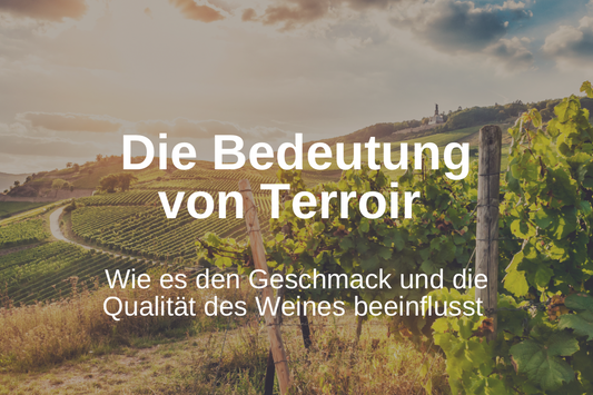 Die Bedeutung von Terroir: Wie es den Geschmack und die Qualität von Wein beeinflusst
