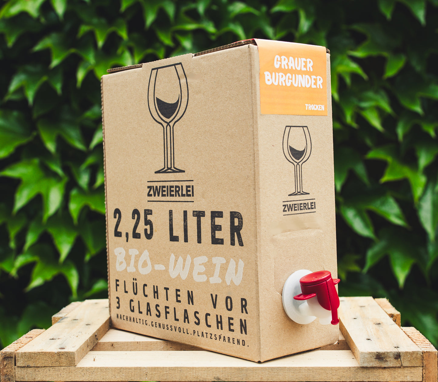Bag-in-Box Wein Grauburgunder