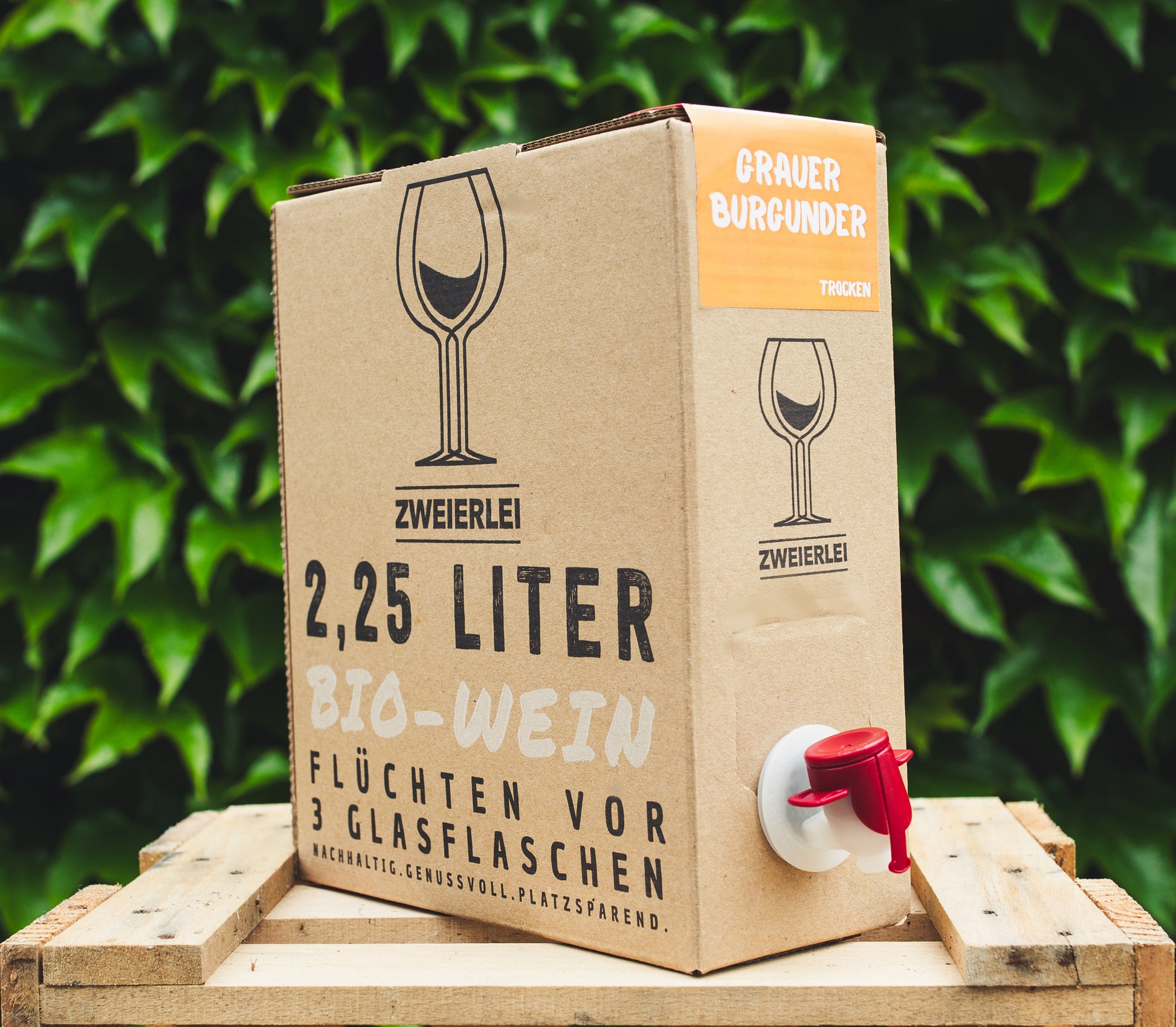 Bag-in-Box Wein Grauburgunder
